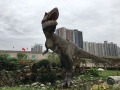 -陕西自然博物馆