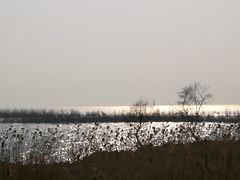 -香雪海