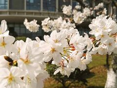 -江南大学(蠡湖校区)