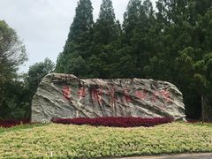 -东平国家森林公园