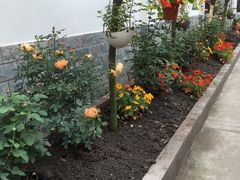 -凤来栖·净庭院·火锅(欧尚店)