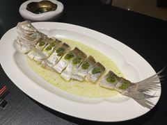 -RIVIERA 松鹤楼(外滩店)