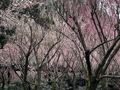-成都杜甫草堂博物馆