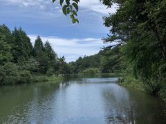 -四明山国家森林公园