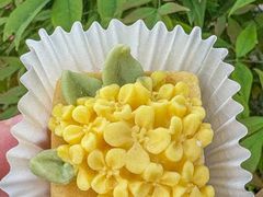 -稻香村(观前街店)