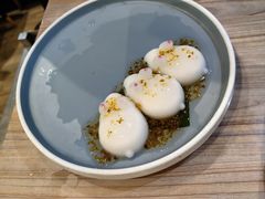 -探窝·竹笙椰子鸡(杨箕店)