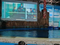 -华夏文旅海洋公园