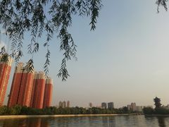-迎泽公园