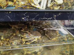 -马王堆海鲜水产市场