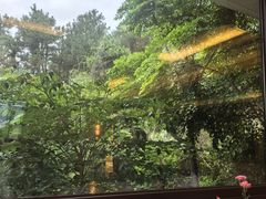 -鲤鱼洲酒店港鲤咖啡厅