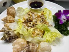 -小贝壳酒楼(经九路店)