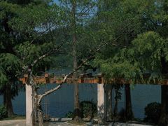 -深圳仙湖植物园