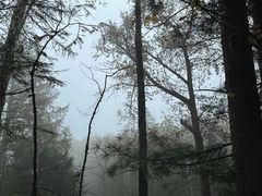 -峡谷浮石林景区