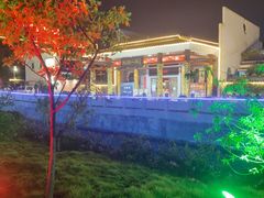 -桃园盛宴·岭南粤菜·手工茶点(南庄店)