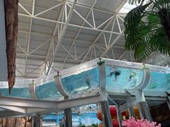 -天山海世界