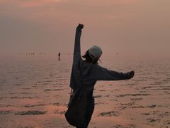 -南汇嘴观海公园