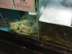 -海王老记
