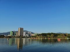 -飞来湖湿地公园