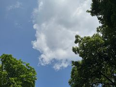 -阳台山森林公园