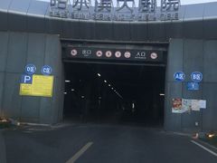 -哈尔滨大剧院