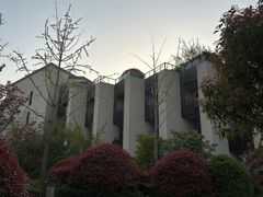 -上海崇明金茂凯悦酒店