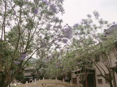 -龙潭水乡