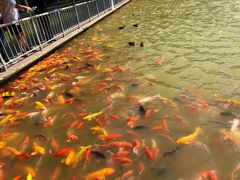 -泰安地下龙宫景区