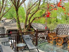 -悦真雅院·四合院·清真私房菜(雍和宫店)