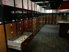 -九龙公园
