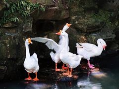 -兰亭风景区