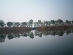 -白洋淀景区
