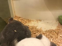 -龙猫仔乐园(惠福东路店)