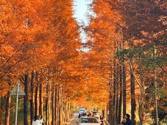 -泽雅景区