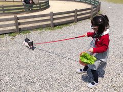 -前小桔亲子创意农场·草莓采摘·露营烧烤