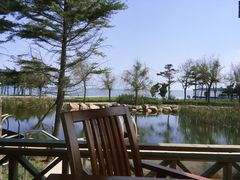 室外温泉-青岛海泉湾度假区温泉