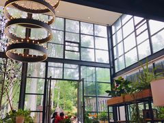 -桉树林A coffee 森林餐厅(三圣乡店)