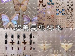 -上海自然博物馆
