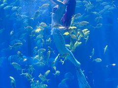 -华夏文旅海洋公园