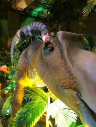 -恐龙探索乐园(磁器口店)