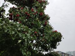 -山西国民师范旧址革命活动纪念馆