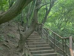 景点-红崖峡谷景区