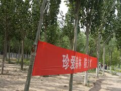 -西青郊野公园