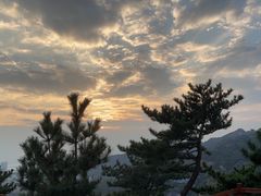 -崂山九水游览区