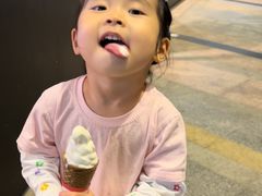 -富豪雪糕车流动点(尖沙咀店)