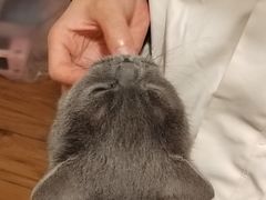 -春笙食堂.丼饭拉面寿司(GOGO新天地店)