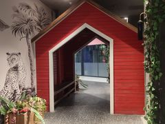 -国商百货(卫星广场店)