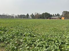 -中国天府农业博览园