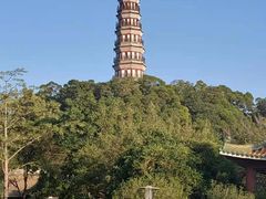 -顺峰山公园