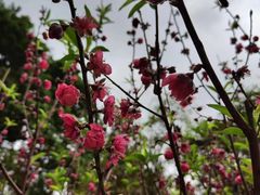 -广州市白云山风景名胜区