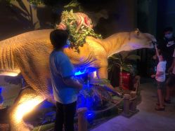 点击看大图 -恐龙探索乐园(磁器口店)